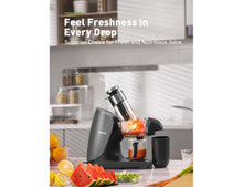 Joyoung Ceramic Masticating Juicer Machine for Vegetables, Fruit, & Ice  Cream, 1 Piece - Fry's Food Stores